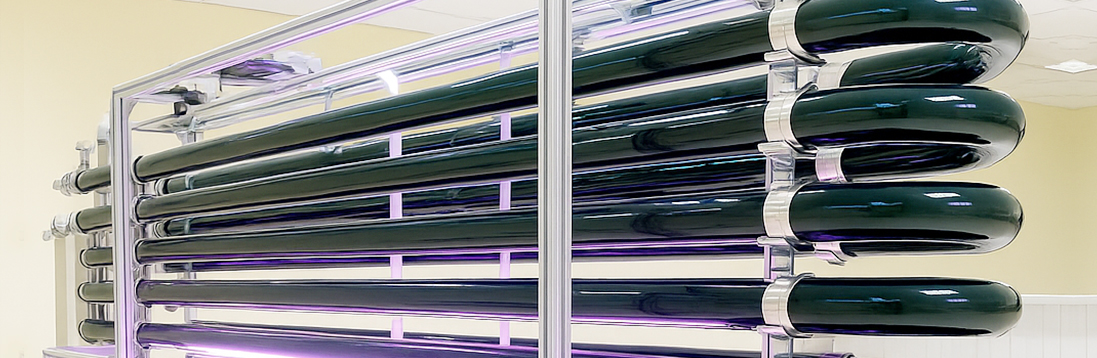 味丹バイオテクノロジーについて