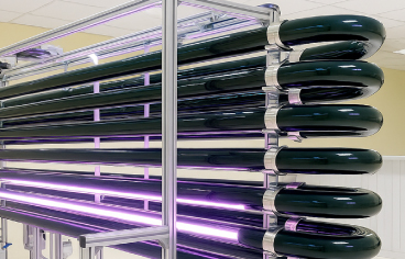 味丹バイオテクノロジーについて